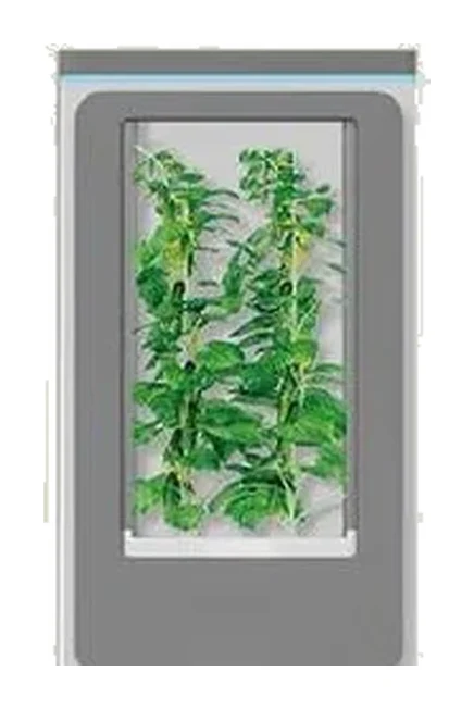 攀爬種植櫃（矮款）