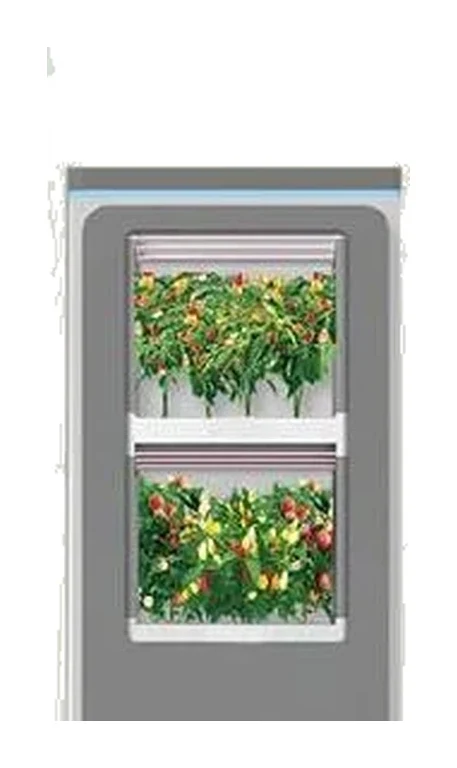 果菜種植櫃（矮款）