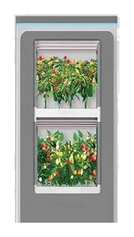 果菜種植櫃（高款）