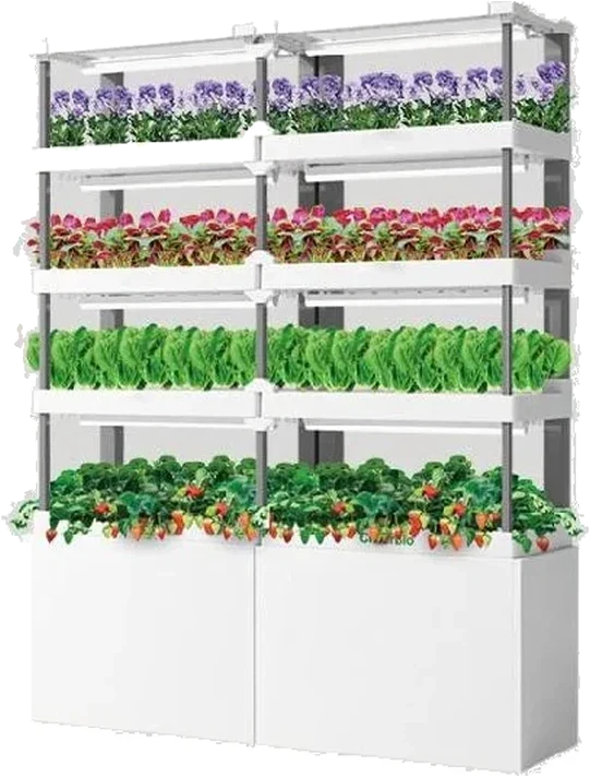 Mini 雙拼 8 層葉菜版（Wi-Fi）