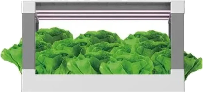 葉菜花卉模組（商用版）